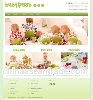 Online store shopping cart website, website design