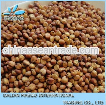 Origin China grain sorghum seed