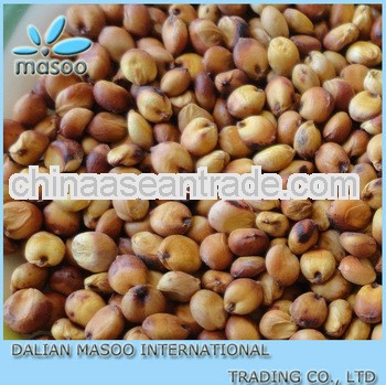 Origin China grain sorghum seed product