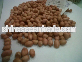 Premium Quality Peanuts for Senegal