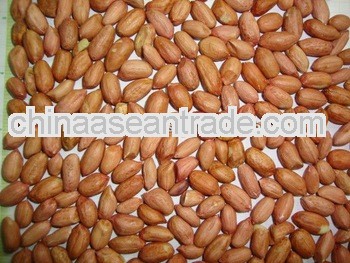Price of Peanuts for Angola
