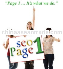 Professional and Perfect Website SEO
