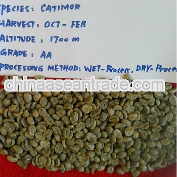 Robusta coffee beans grade 2,we have high altitude robusta catimor coffee beans