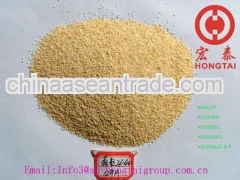 Shandong Air Dried Garlic Granules 26-40 Mesh Price