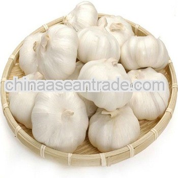 Super quality pure white garlic(5.5cm)