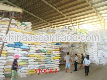  Rice 5% Broken - Cheap Price