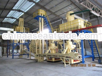 YULONG 3T/H XGJ580 biomass pellet plant
