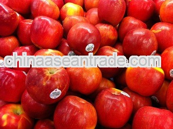 best-selling fresh Fuji Apple