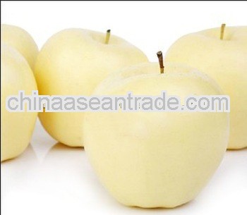 big yellow golden apple ,China(apple:fuji, huaniu, gala, golden,qingguan, red star)