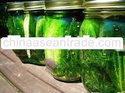 Sell High Quanlity Pickled Cucumber with best price