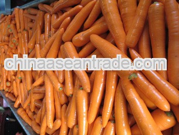 cheap carrots, red carrot, fresh carrot