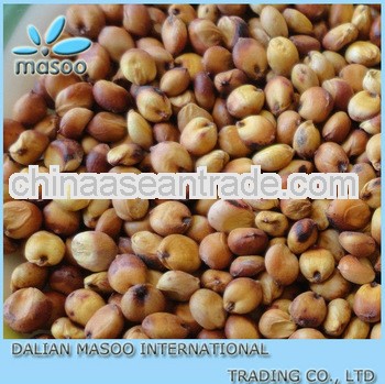 chinese organic sorghum for sale-2