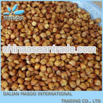 chinese organic sorghum for sale-9