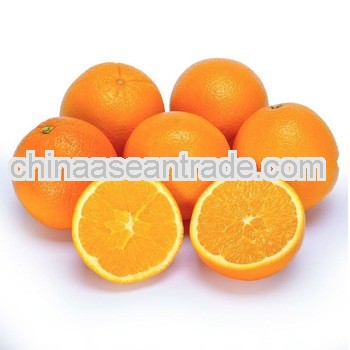 delicious fresh navel oranges