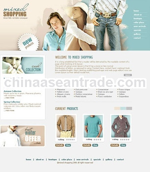 ecommerce website design 