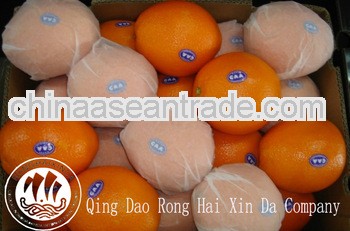 fresh citrus fruit best price chinese fresh orange
