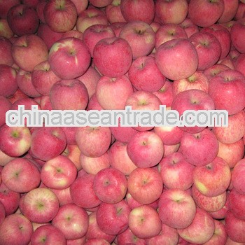 fresh fruits,chinese fruits,fresh fuji apple for sale