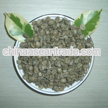 high quality arabica typica green coffee beans