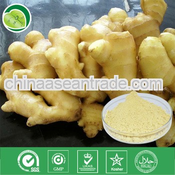 hot selling best product ginger extract lowest price