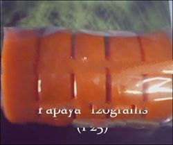 organic papaya soap