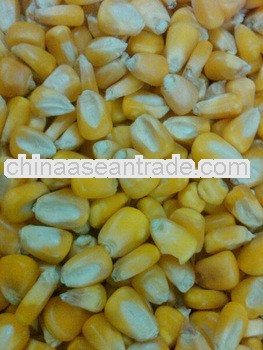 maize for pig feed