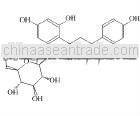manufacture high quality and competitive price phloridzin