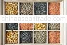 Processed and Unprocessed Pulses