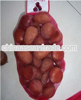 sale 2012 new harvest fresh chestnut in shell