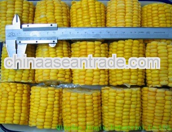 sell 2012 new crop frozen sweet corn kernel
