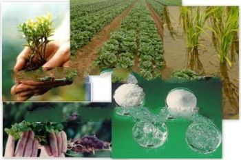 wholesale Potassium water gel for agriculture