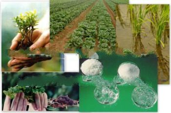wholesale water absorbing polymers for agriculture