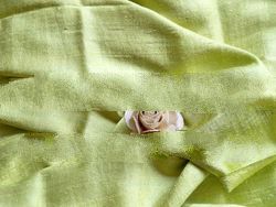 Scarves 100% raw silk, plain coloured
