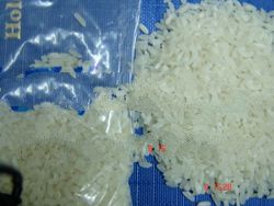 Amatha Rice