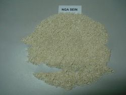 Ngasein Rice