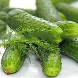 Sell Pickled Cucumber from 