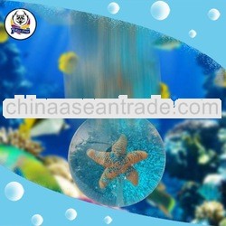 Supply bouncing ball,SEA bouncing ball Manufacturer & exporter