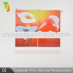 2013 High Quality & Environment Protaction CE wall mounted infrared panel heater