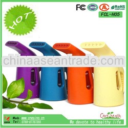2013 New design Perfection Handy Steam Cleaner