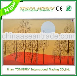 2013 best selling& High quality electric infrared heater