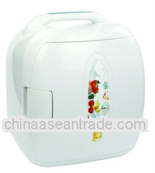 Electric Mini Refrigerator for Storing Beverage