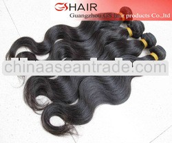 New arrival natural sample brazilian hair 2013 new products