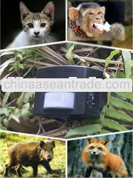 Ultrasonic deer/fox/cats/dogs/mice Repeller GH-326