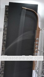 Jacuzzi Shower Panel