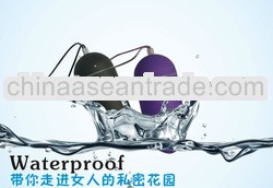 Wireless Waterproof Remote Control Vibrating Massager Egg