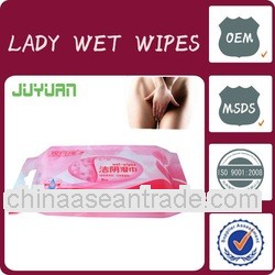 antibacterial wipes/handy wet wipes/household cleaning wipes