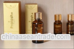 organic essential oils /natural oil/Pralash chamomile anti- sensitive essential oil