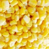 Supply Frozen sweet corn