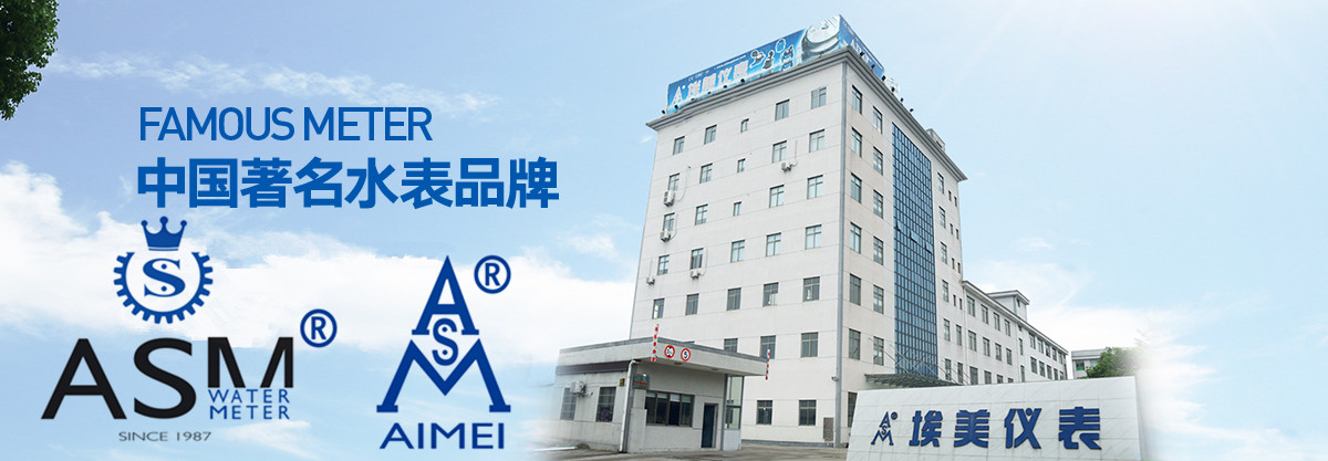 Ningbo Aimei Meter Manufacture Co., Ltd