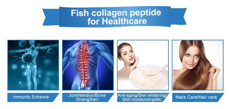 Fish callagen peptide for healthcare