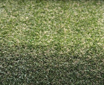 1 square meter  artifical grass price 2013.8.24-B-17 1 square meter 12800dtex 18900 cluster pp 20mm 
